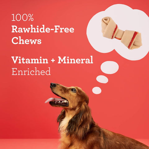 DreamBone Mini Bone Rawhide-Free Dog Treats With Real Protein, 50 Count