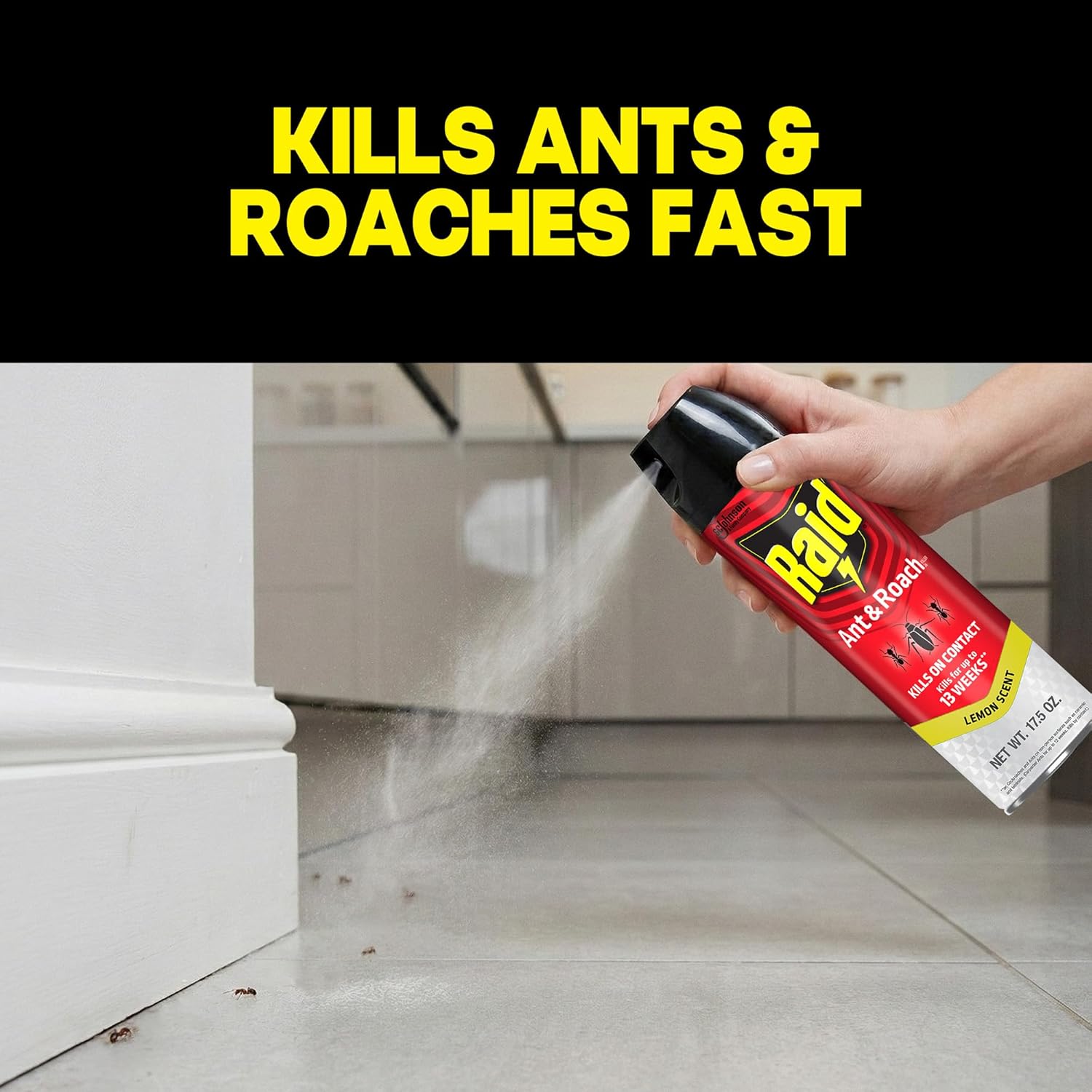 Raid Ant & Roach Killer Bug Spray, Lemon Scent, 17.5 oz