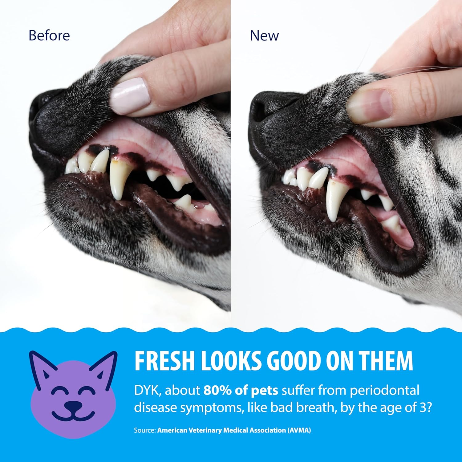 Dental Fresh Advanced Water Additive for Dogs & Cats, 8 fl oz