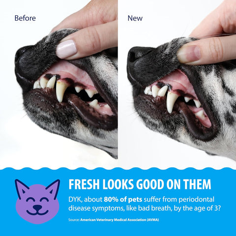 Dental Fresh Advanced Water Additive for Dogs & Cats, 8 fl oz