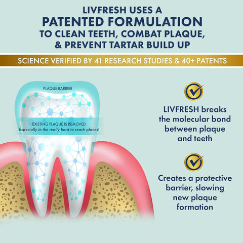 LIVFRESH Toothpaste Gel, Clinically Proven to Remove Plaque 250% Better, Does Not Irritate Gums, Reduces Tartar Buildup, Freshens Breath, SLS Free Dental Gel, Wintergreen