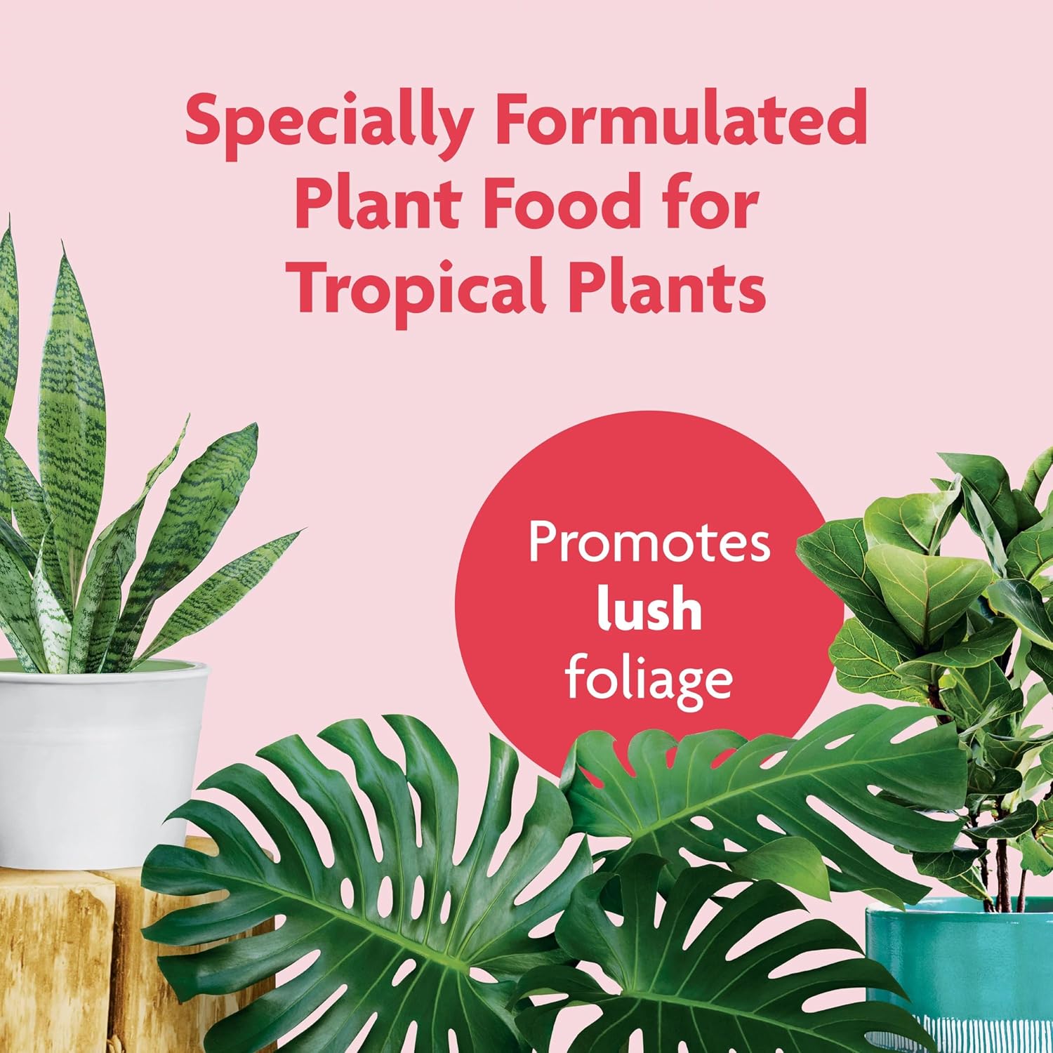 Miracle-GRO Tropical Houseplant Food - Liquid Fertilizer for Tropical Houseplants, 8 fl. oz.