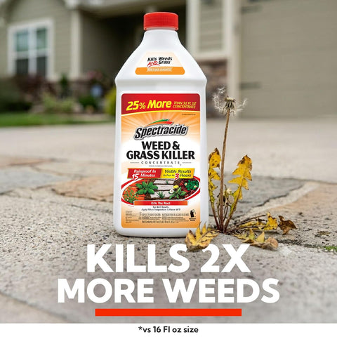 Spectracide Weed & Grass Killer Concentrate for Driveways & Walkways, 40 Oz