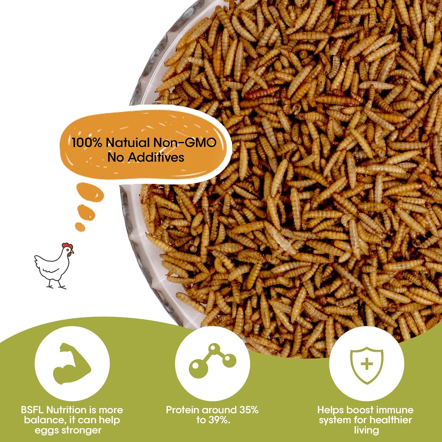 10LB Dried Black Soldier Fly Larvae for Chicken, Poultry, Wild Birds,100% Natural Non-GMO, No Additives, Treat, More Calcium Chicken Treats Than Mealworms