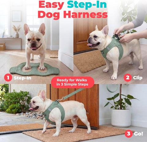 Voyager Step-in Air Dog Vest Harness - Moss Green, Medium