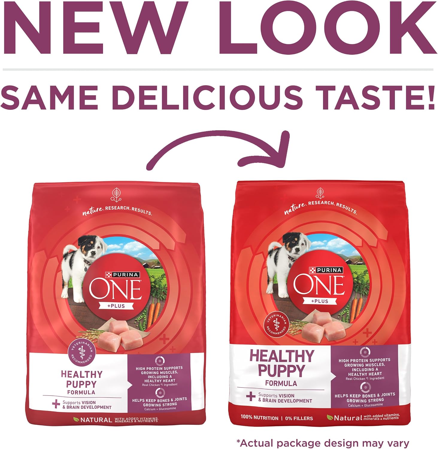 Purina ONE Plus Healthy Puppy Dry Food, Chicken, 8 lb Bag