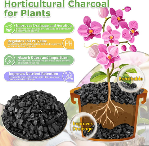 Legigo 2 QT Horticultural Charcoal- Natural Biochar Soil Amendment