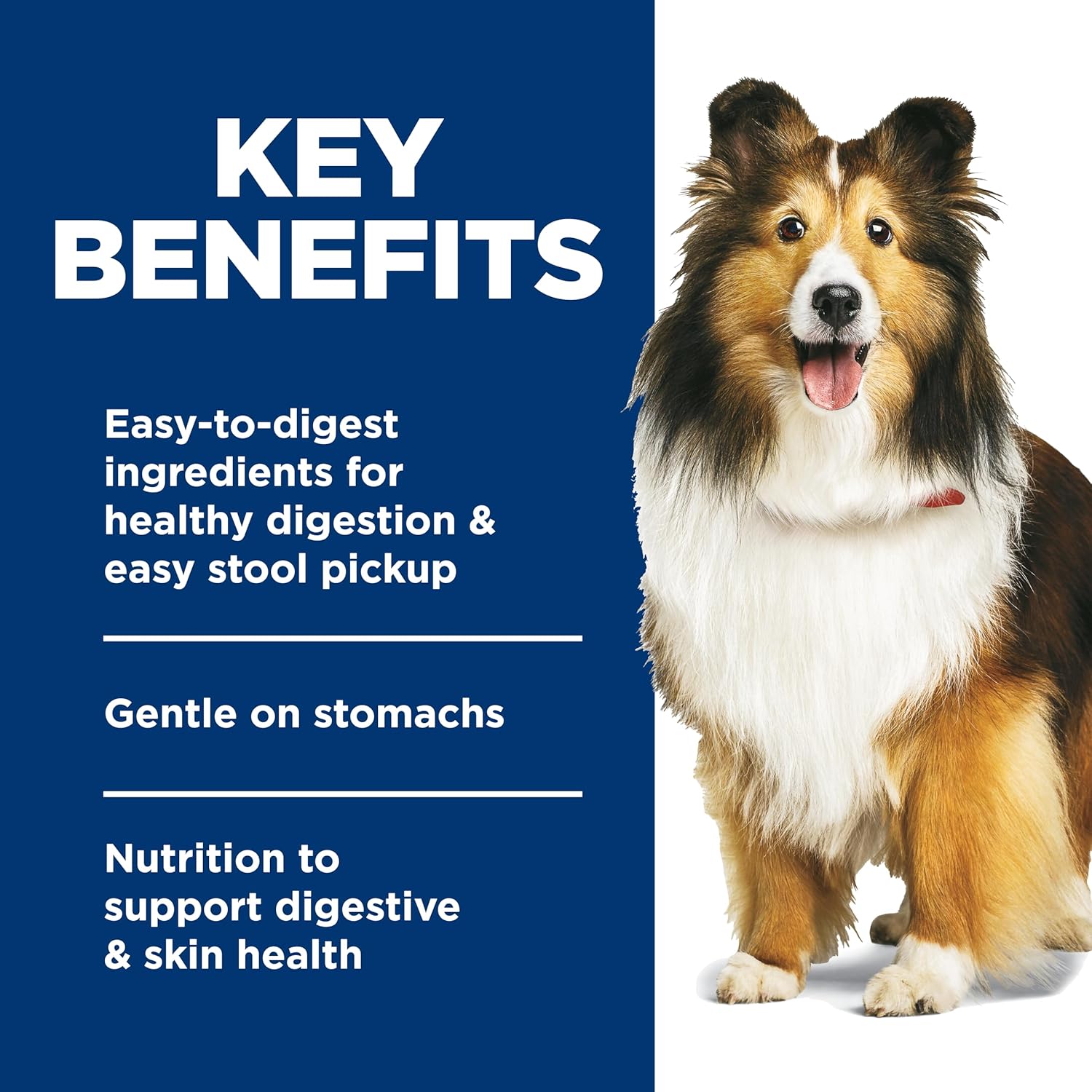 Hill's Science Diet Sensitive Stomach & Skin Wet Dog Food Variety Pack