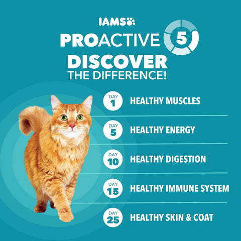 IAMS Proactive Health Indoor Dry Cat Food, Chicken & Turkey, 7 lb