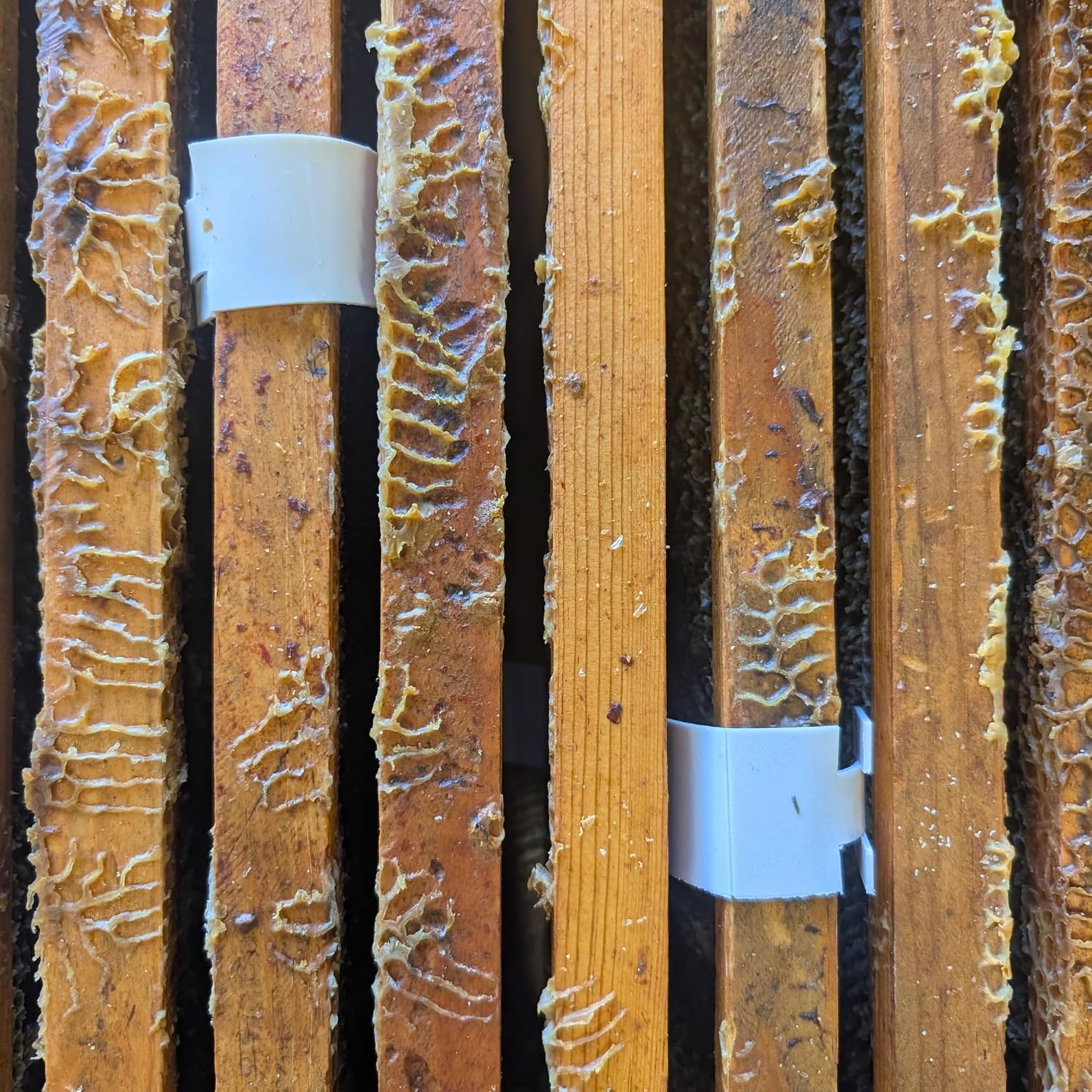 Apivar® 2.0 Amitraz Strips for Varroa Mite Control - 4 Strips