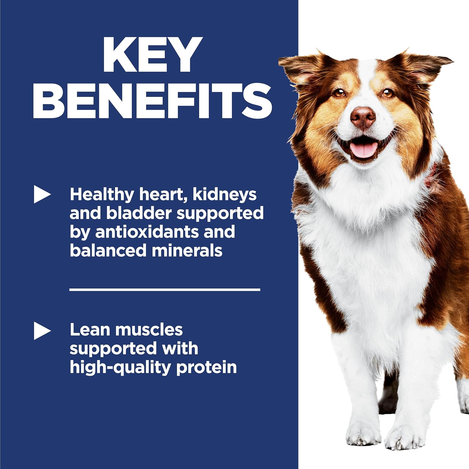 Hill's Science Diet Adult 7+ Dry Dog Food