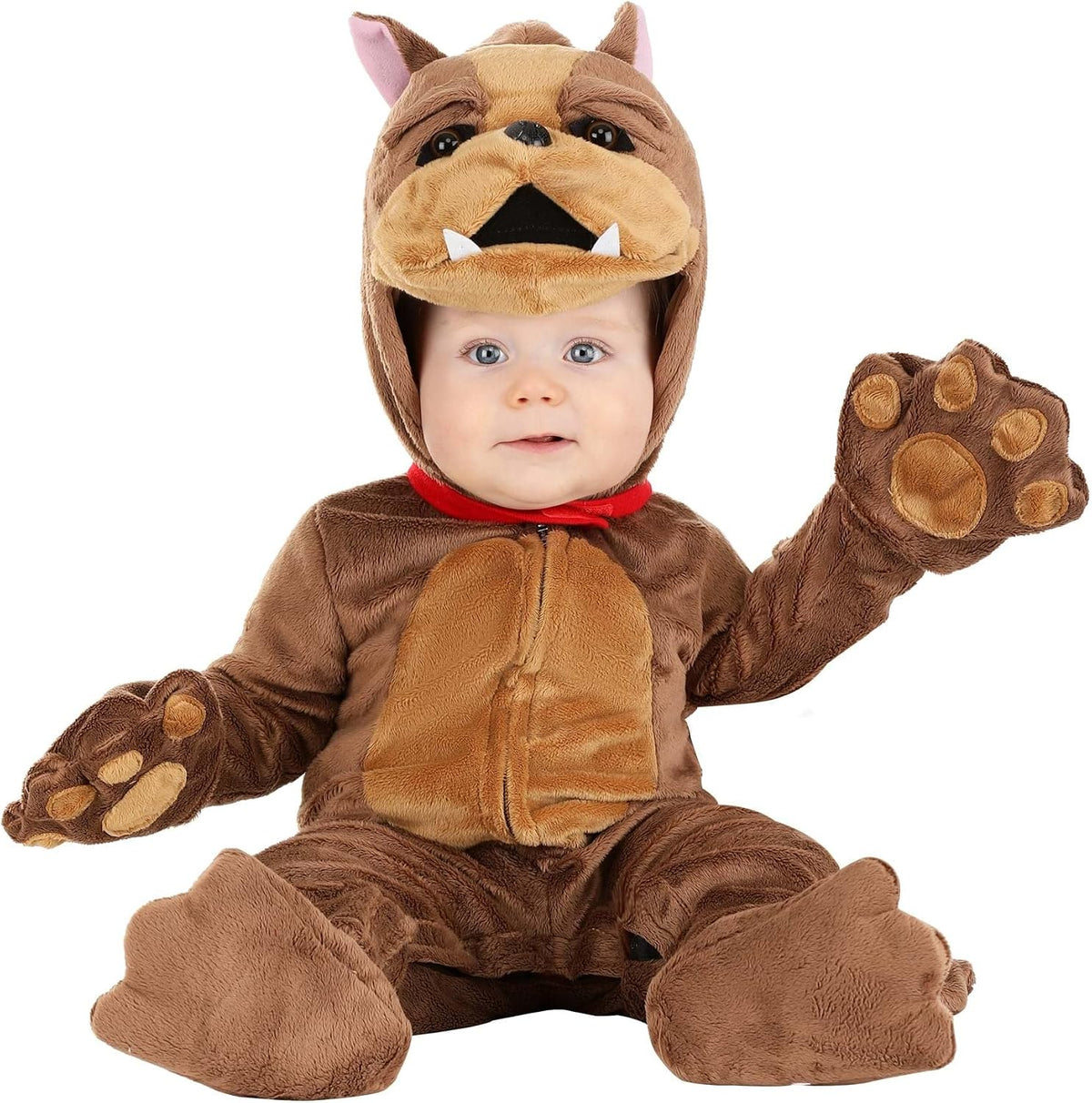 Dog Costume for Infants | Bulldog, Corgi, Hound, and Labrador Baby Costumes