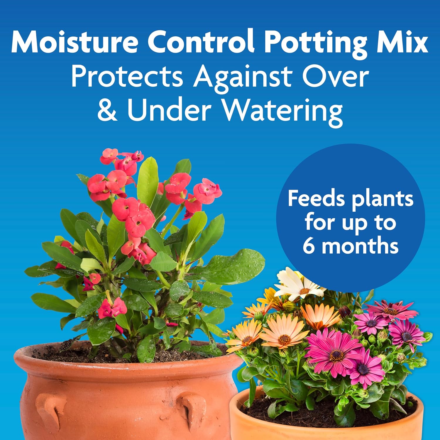 Miracle-Gro Moisture Control Potting Mix, 8 qt. (2-Pack)