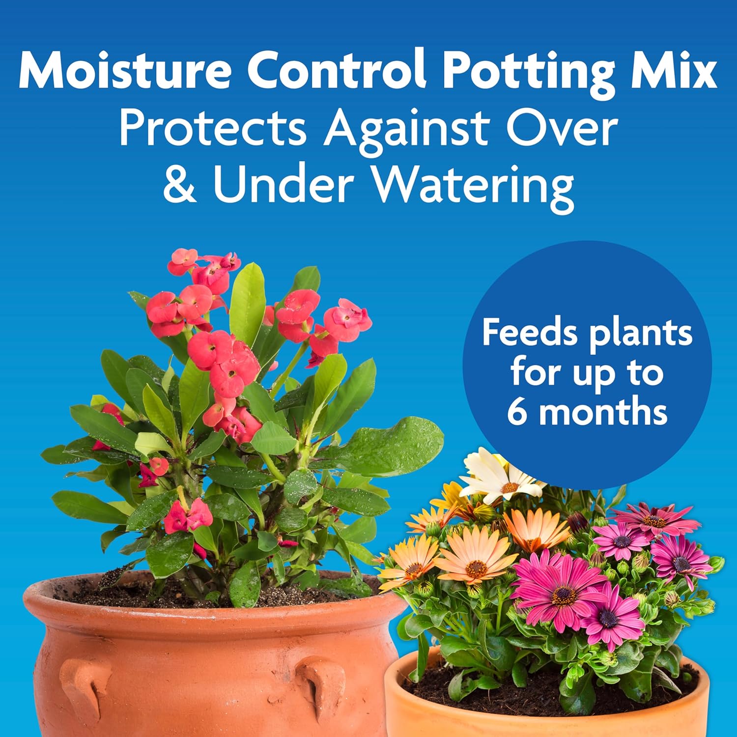 Miracle-Gro Moisture Control Potting Mix, 6 qt.