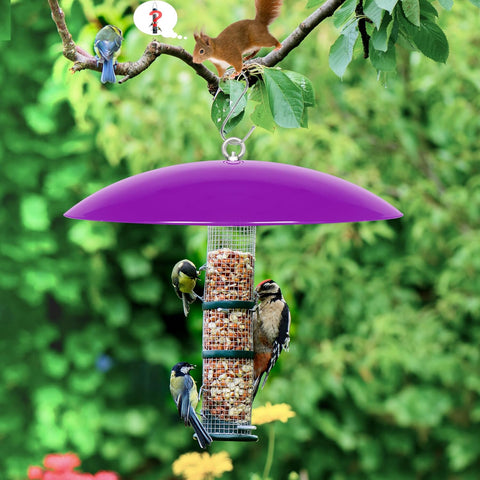 13" Bird Feeder Rain Cover,Bird House Dome,Hummingbird Feeder Guard,Proof for Shepherd's Hook Outdoors,Smart Birds Feeder's Umbrella(Purple), 1Pack