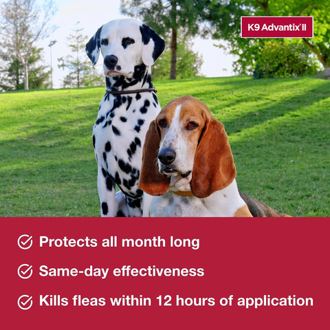 K9 Advantix II Large Dog Vet-Recommended Flea, Tick & Mosquito Treatment & Prevention | Dogs 21-55 lbs. | 2-Mo Supply (Packaging may vary)