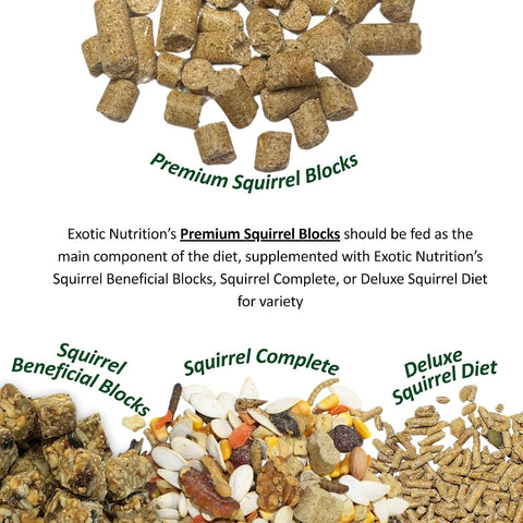 Exotic Nutrition Squirrel Complete (15 lb.) - Healthy Natural Food for Pet & Captive Squirrels - Ground, Grey, and Flying Squirrels, & Chipmunks