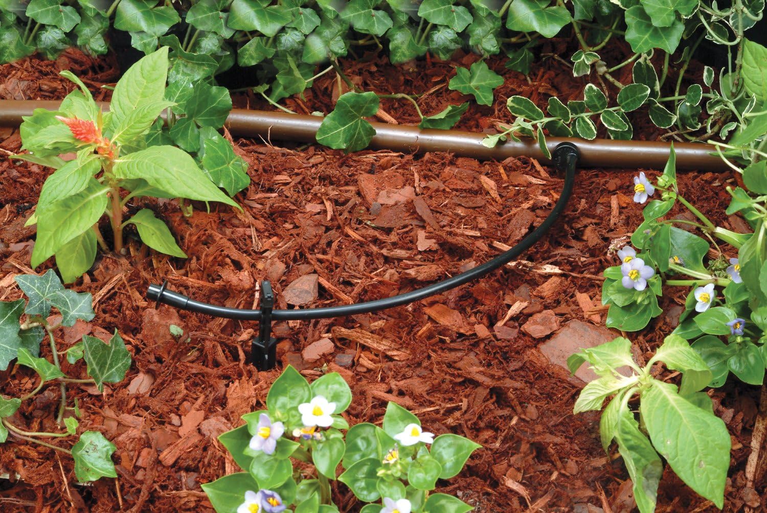 Rain Bird T22-250S Drip Distribution Tubing, 1/4"