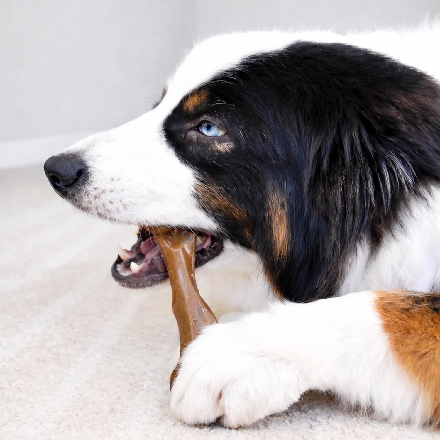 Nylabone Strong Chew Femur Bone Dog Toy, Dog Bone for Aggressive Chewers