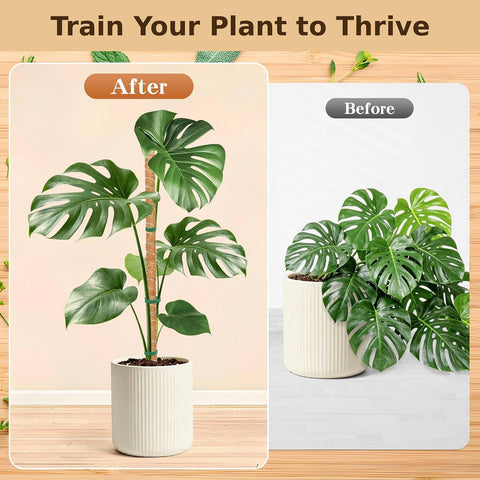 4 Pack Moss Pole, 2 Pack 28" & 2 Pack 48" Bendable Monstera Plant Support, Plant Stakes for Climbing Indoor Plants, Coco Coir Moss Pole for Potted Plants, Pothos, Philodendron