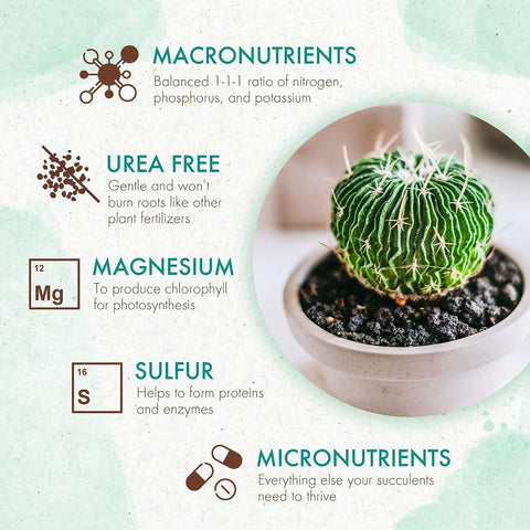 Cactus & Succulent Indoor Plant Fertilizer, Long Lasting Formula, 5oz