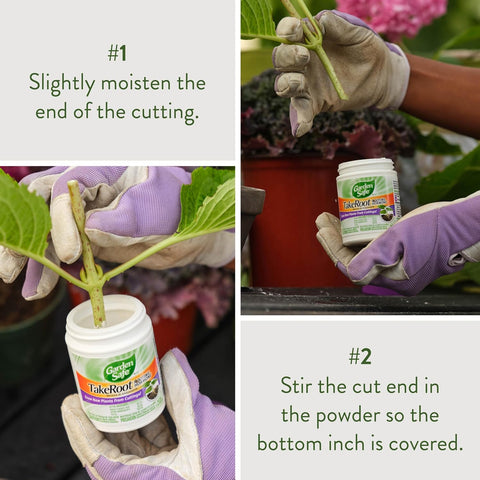 Garden Safe Take Root Rooting Hormone 2 Oz, Promotes Rooting, 2 Pack