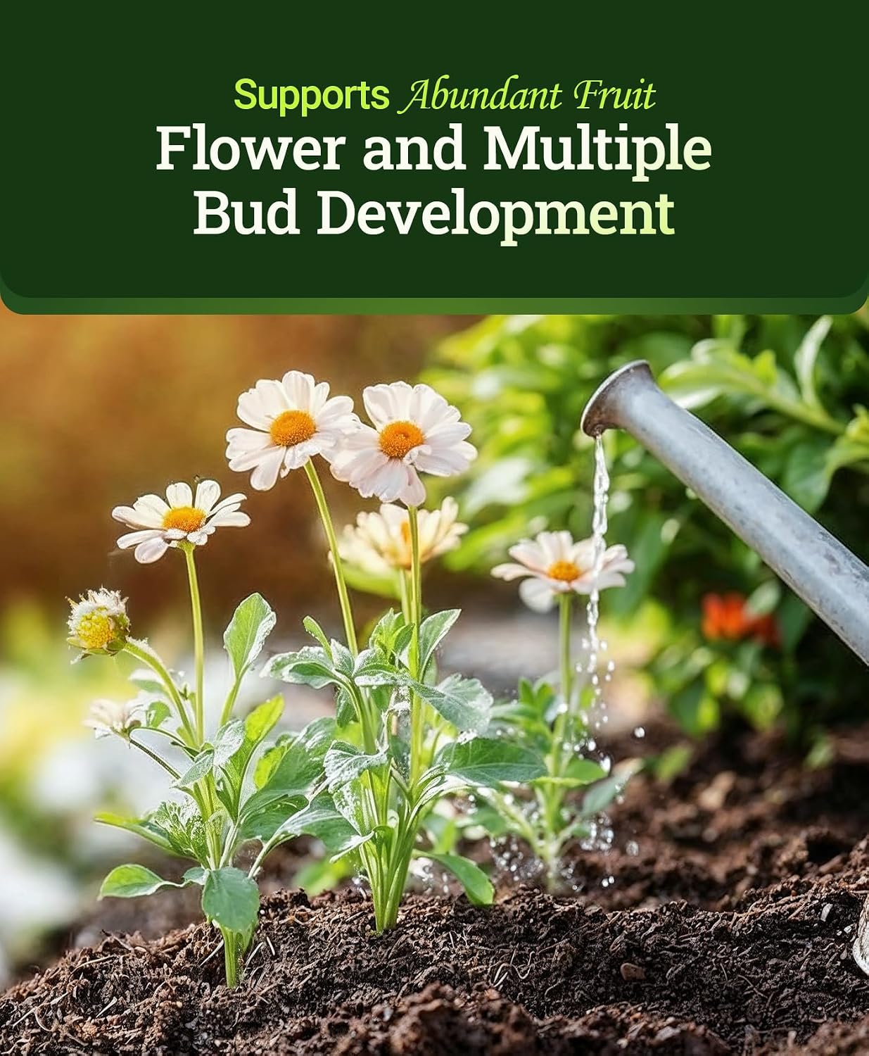 FoxFarm Tiger Bloom Liquid Plant Food - Phosphorus Fertilizer for Buds, Blooms & Flowering - Supports Soil & Hydroponic Systems - High Micronutrient Formula with 2-8-4 Nutrient Ratio - 2.5 Gallons