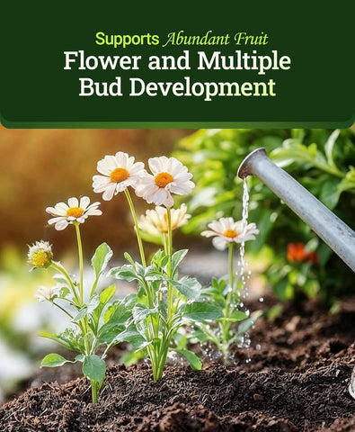 FoxFarm Tiger Bloom Liquid Plant Food - Phosphorus Fertilizer for Buds, Blooms & Flowering - Supports Soil & Hydroponic Systems - High Micronutrient Formula with 2-8-4 Nutrient Ratio - 2.5 Gallons