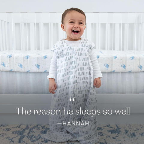 HALO Micro-Fleece Wearable Blanket, Swaddle Transition Sleeping Bag, TOG 1.0