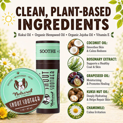 Natural Dog Company Snout Soother Dog Nose Balm, 0.15 oz Travel Stick