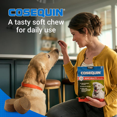 Nutramax Cosequin Joint Supplement for Dogs, Skin & Coat, Soft Chews,120ct