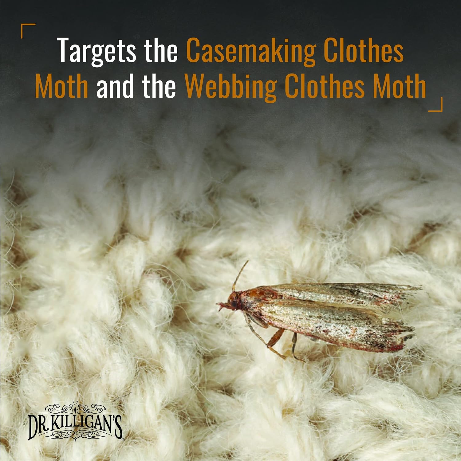 Dr. Killigan's Premium Clothing Moth Traps with Pheromones (Black, 6 Traps)
