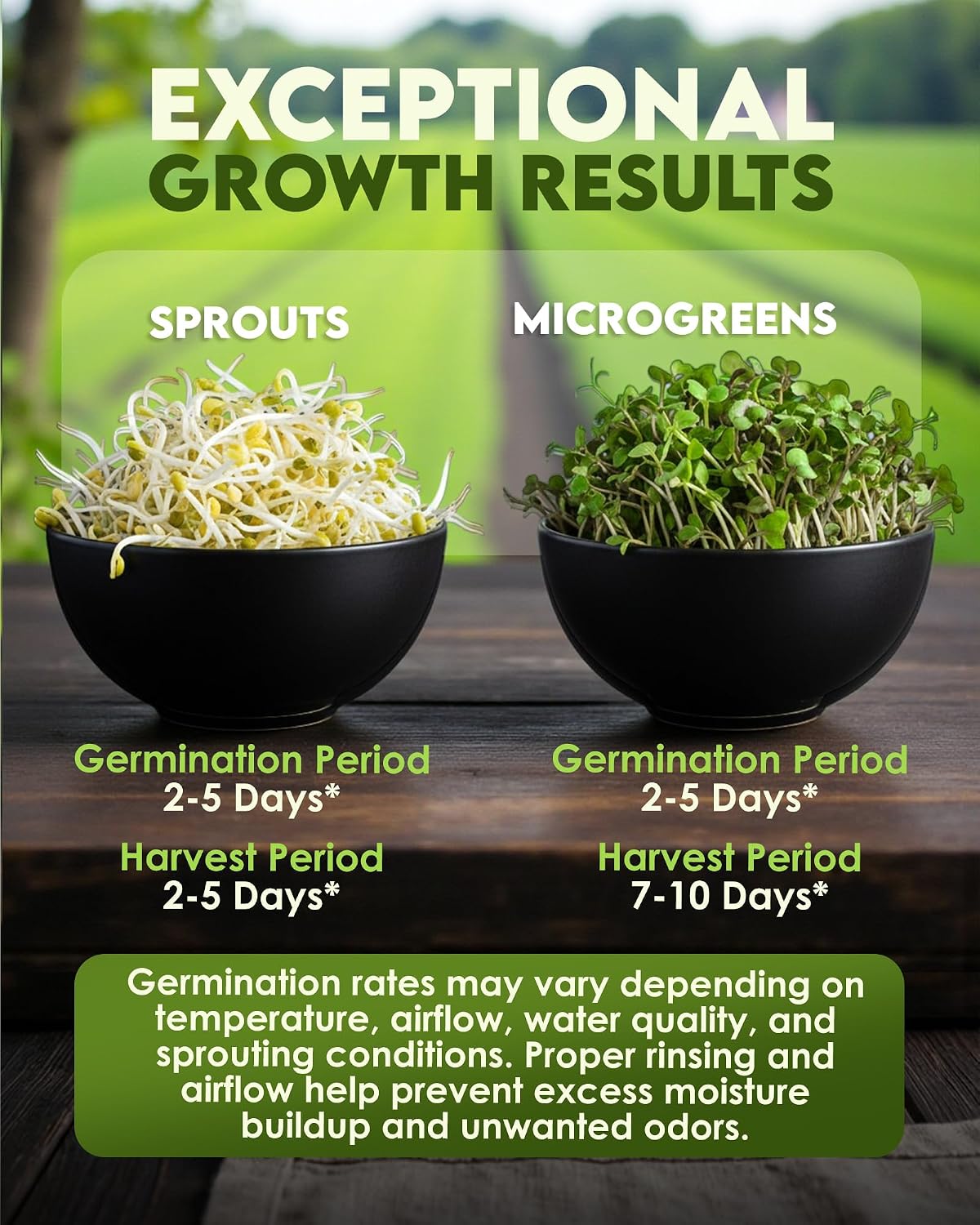 Nature Jim's Sprout Organic Broccoli Seeds – Non-GMO, Sprouting Seeds - 8oz