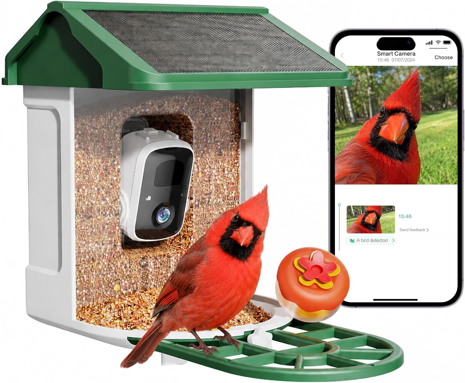 HARYMOR Bird Feeder with Camera, 2K Live Video, AI Identify Bird Species