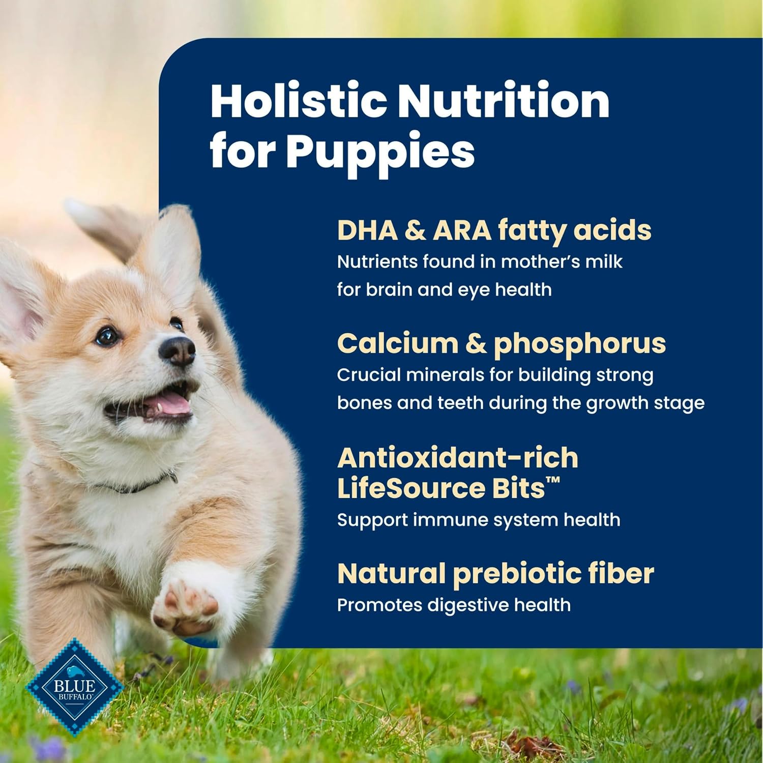 Blue Buffalo Life Protection Formula Chicken Puppy Dry Dog Food, 34 lb