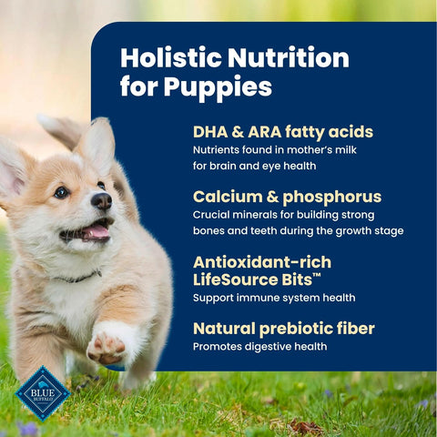 Blue Buffalo Life Protection Formula Chicken Puppy Dry Dog Food, 34 lb