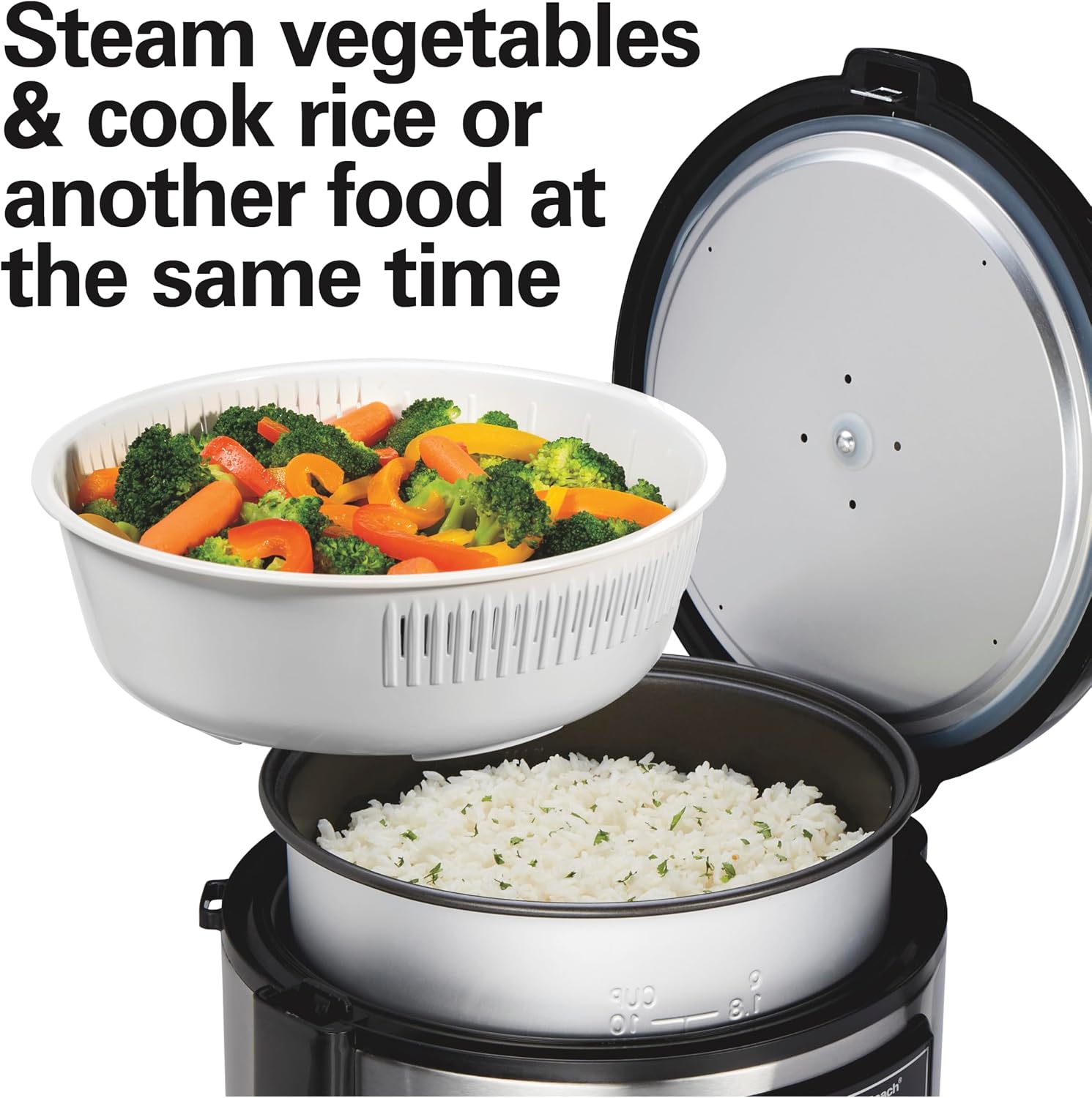 Hamilton Beach Digital Programmable Rice Cooker & Food Steamer