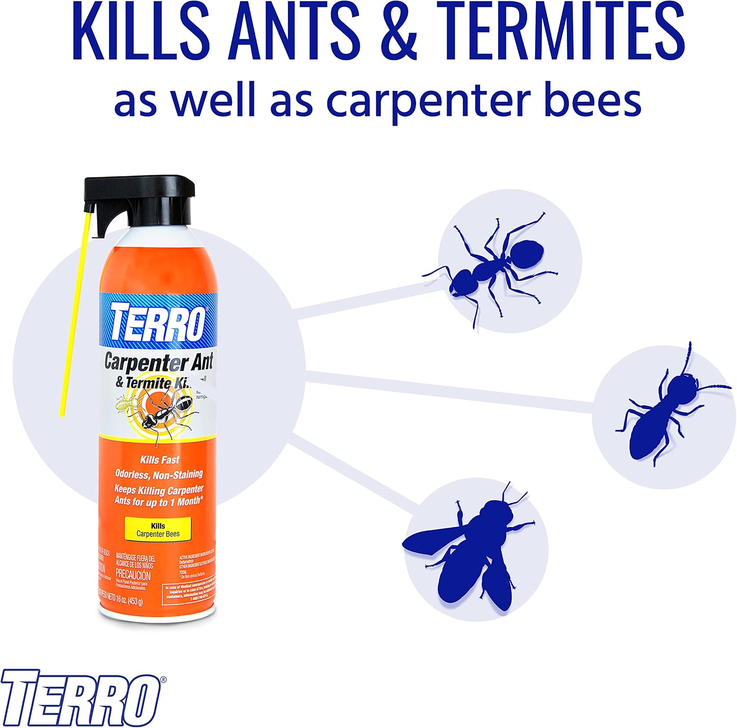 TERRO Ready to Use Indoor and Outdoor Carpenter Ant, Termite, and Carpenter Bee Killer Aerosol Spray - T1901SR - 2 Pack, 32 Total Ounces