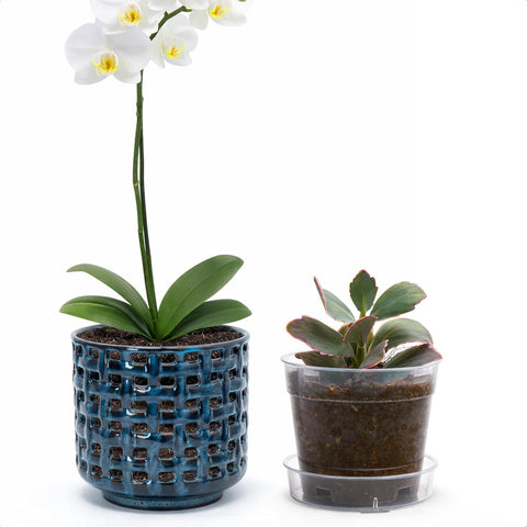 D'vine Dev Orchid Pot, Clear Pot & Saucer, Midnight Blue, 4.5 in, 28-A-Z-2