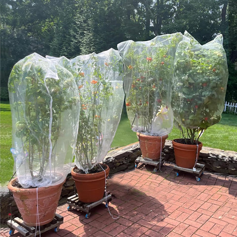 Drawstring Blueberry Netting for Bushes (2 Pack 3.28×2.62FT) - Easy Install Reusable Garden Netting, Protective Mesh for Fruit Trees & Tomato Plants, Blocks Birds, Squirrels & Insects