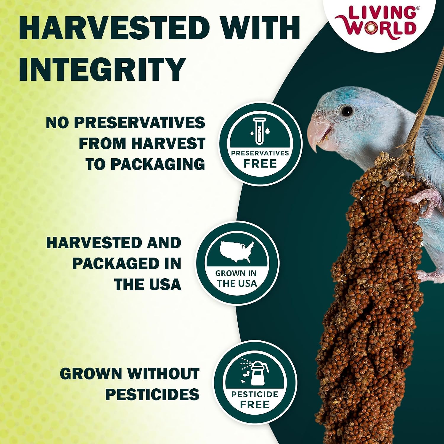 Living World - Millet Spray for Birds, 7 Oz