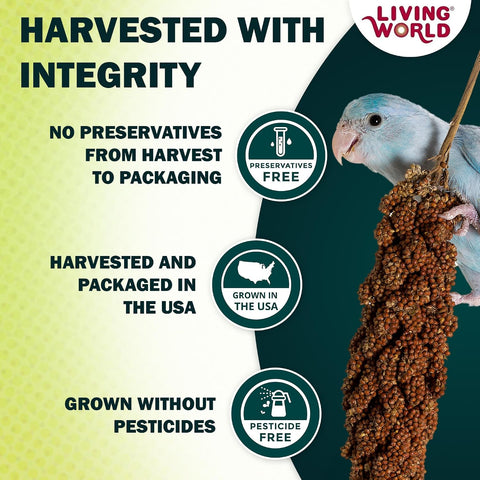 Living World - Millet Spray for Birds, 7 Oz