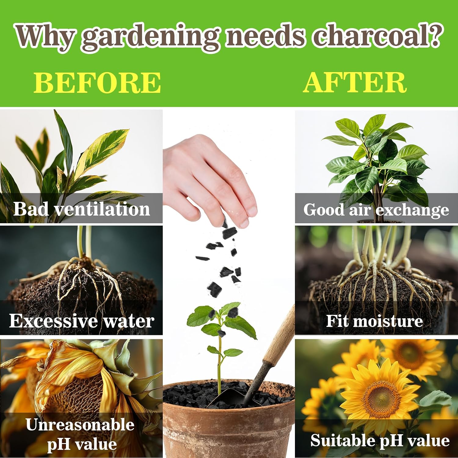 Sukh 1Qt Horticultural Charcoal for Plants - Organic Biochar Soil Amendment