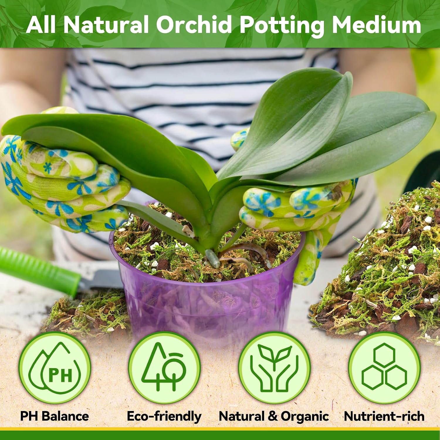 Riare 6QT Orchid Potting Mix for Repotting, Pre-Mixed & Ready-to-Use