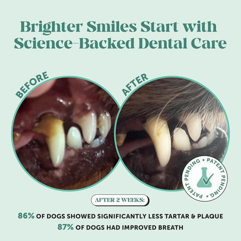 Pet Honesty Vet Approved Dog Teeth Cleaning Powder, 30 Servings