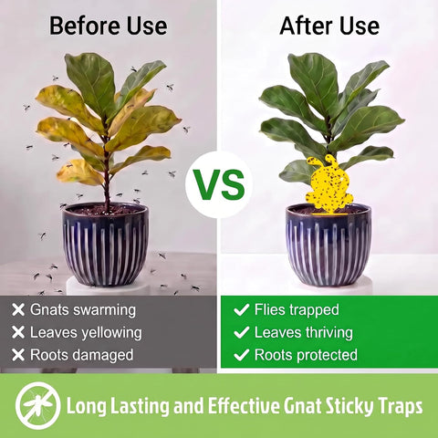 Fruit Fly Trap 96 Pack Yellow Sticky Gnat Killer Traps for Indoor Plants