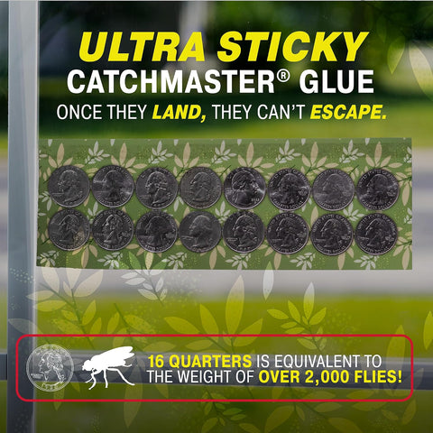 Catchmaster Window Fly Traps 12-Pack, Designed to Disguise House & Fruit Fly, Gnats, Adhesive Strips for Indoor, Disposable Bug Catcher, Insect Sticky Glue Traps, Pest Control for Home & Kitchen
