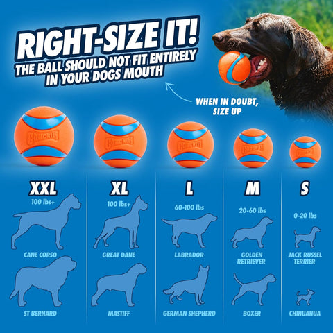 Chuckit! Ultra Ball Dog Fetch Toy, Large 3in, for 60-100lbs Dogs, Floats