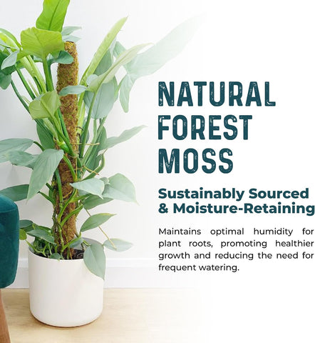 2pcs 42'' Real Forest Moss Pole Monstera Plant Support -Moisture Retaining