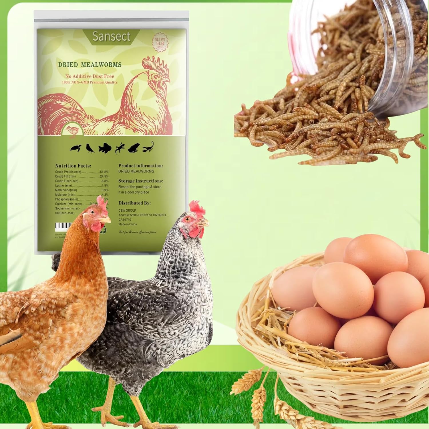 SANSECT 20LB Dried Mealworms for Chickens, Ducks, Wild Birds, Reptile Food